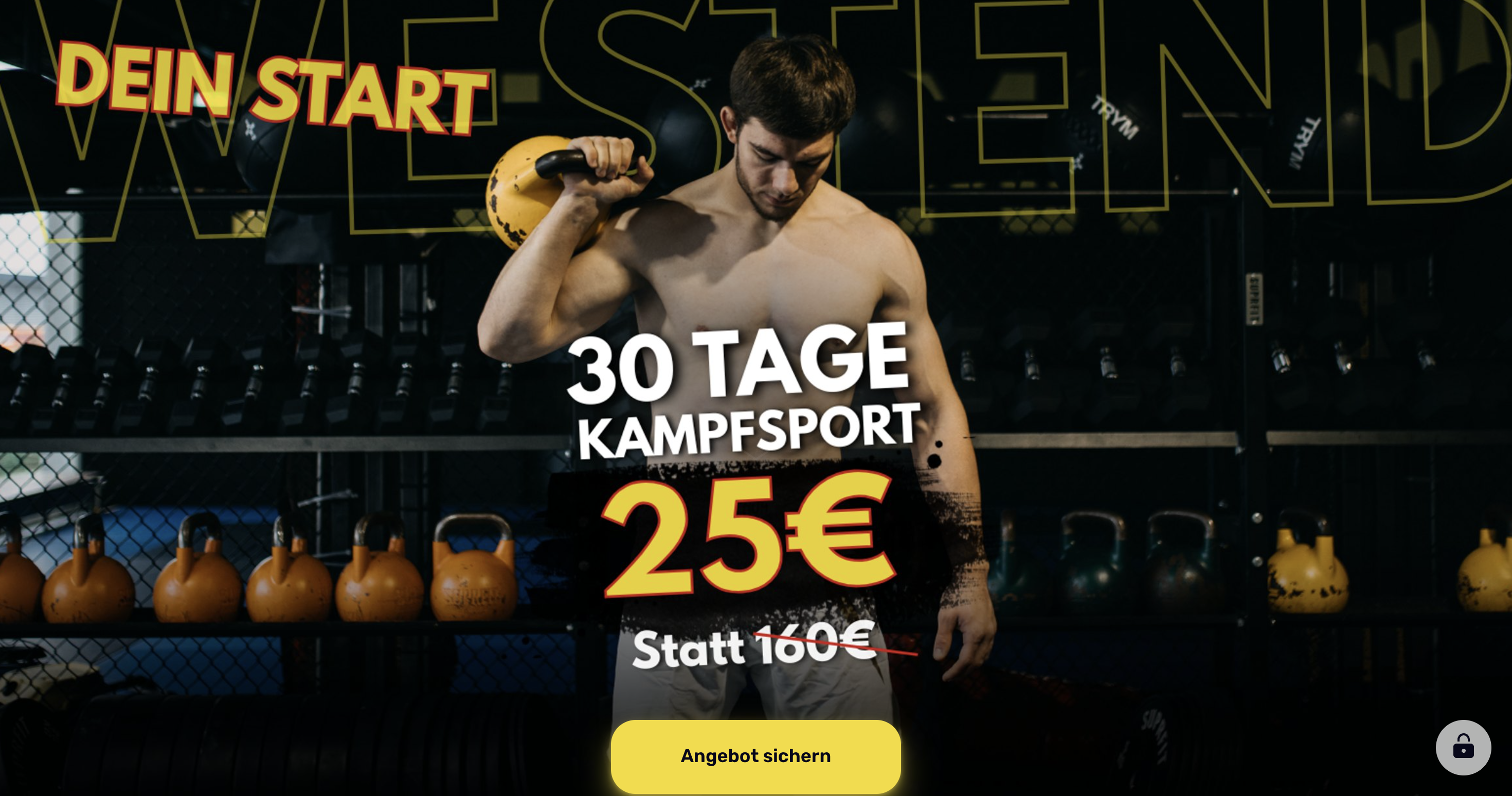 Landingpage Beispiel 1